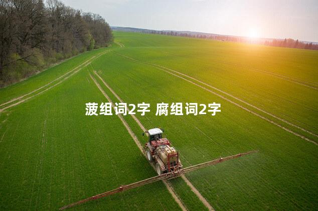 菠组词2字 腐组词2字